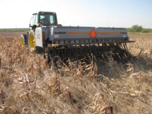 Wheat Cropping System