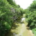 Creek in Henrietta Texas