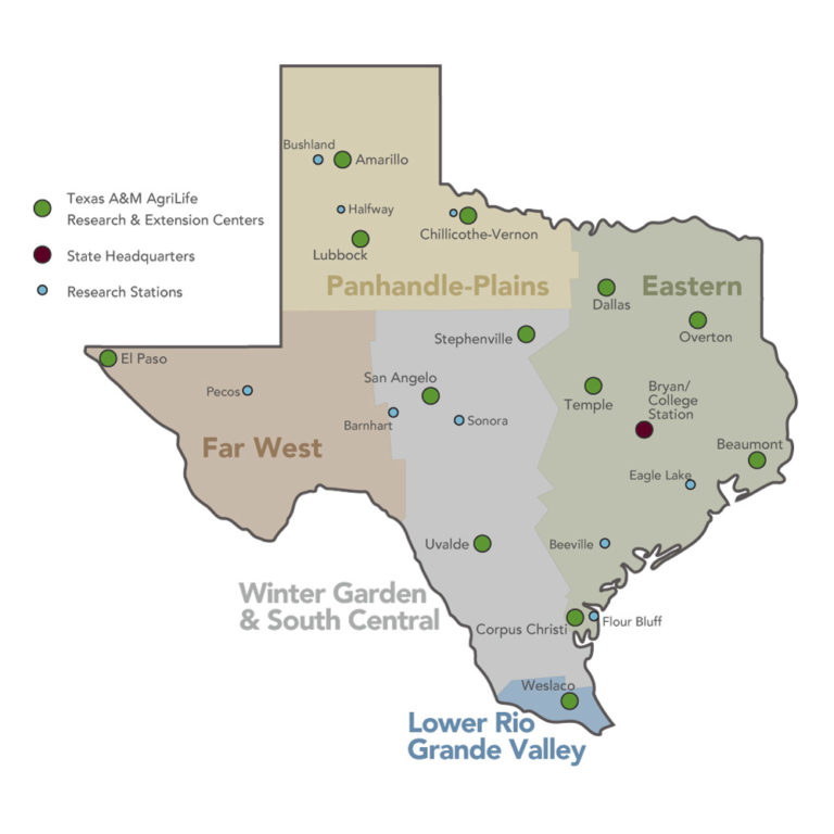 Regions of Texas showing how Texas A&M AgriLife districts are divided