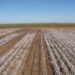Long-term soil health management systems